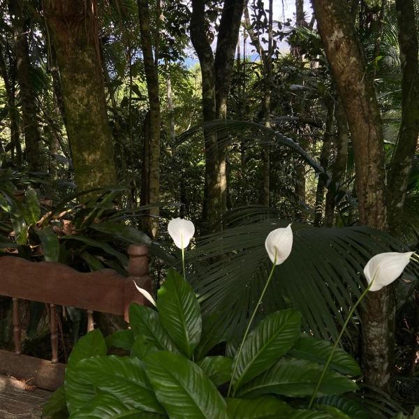 Sítio Ponto de Paz - Foto 5