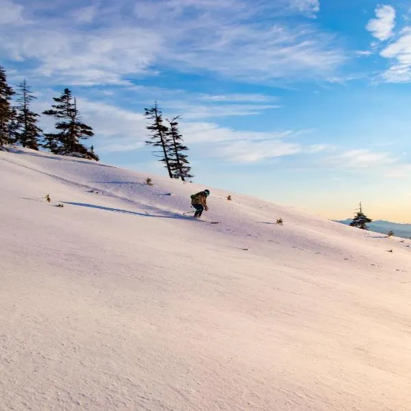 Naeba Prince Hotel, Hotel in Yuzawa