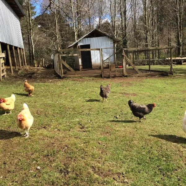 Rancho Saeta, hotel u gradu 'Villarrica'