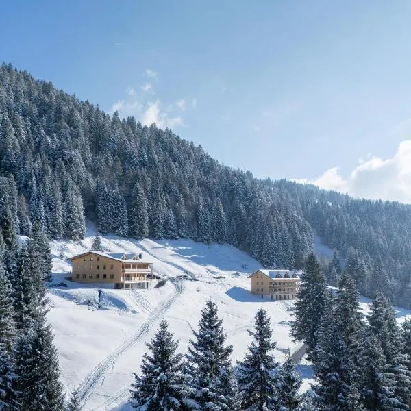 Berghotel Wald&Wiesn, hotel in Balderschwang
