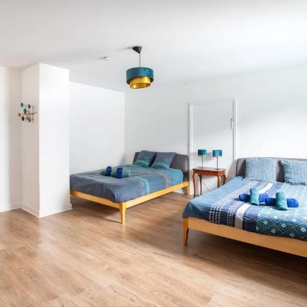 La Maison de maître - centre historique - 3 rue henriette, hotel in Mulhouse