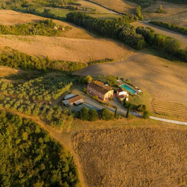 Antonella House -Podere della Collina, Hotel in Palaia
