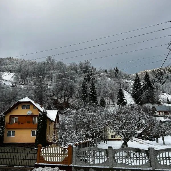 Insieme, ξενοδοχείο σε Vidra