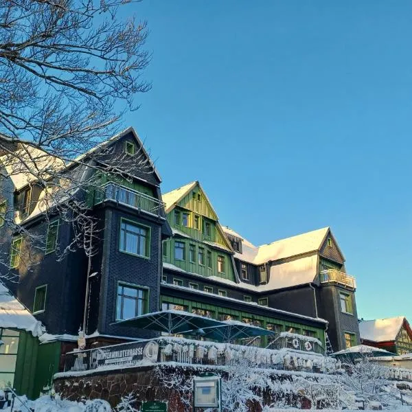 BERG & SPA HOTEL GABELBACH, hotel in Ilmenau