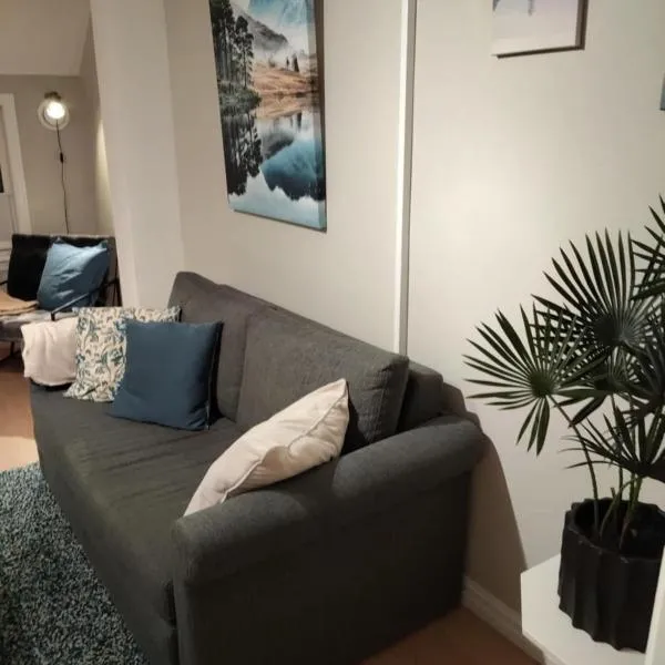 In the middle of the city, with garden and parking!, hotel v destinaci Tønsberg