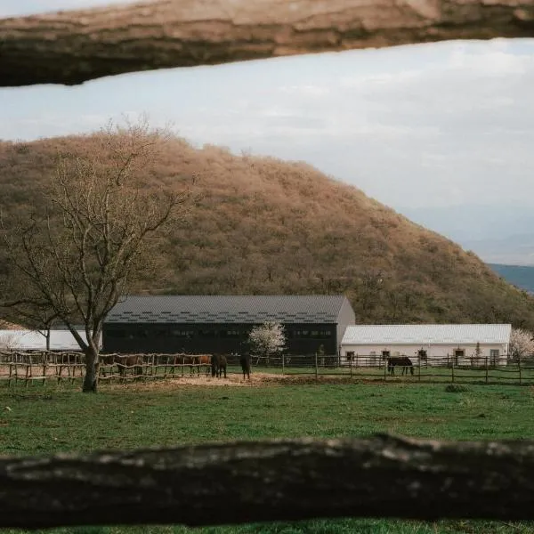 Kiketi Farm Hotels, ξενοδοχείο σε Kiketʼi