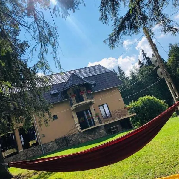Cabana Suvenirurilor, hotel i Scărişoara