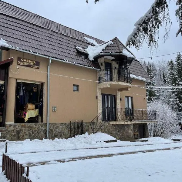 Cabana Suvenirurilor, hotel v destinaci Scărişoara