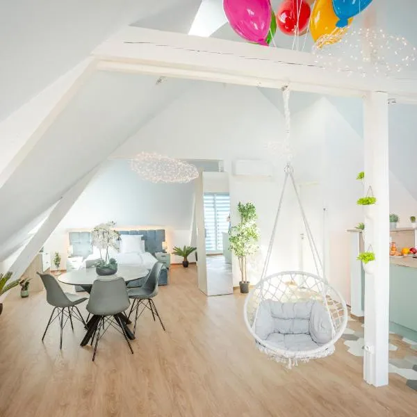 Up, Proche Basel, Loft Sous Combles & Vue, hotel in Saint-Louis