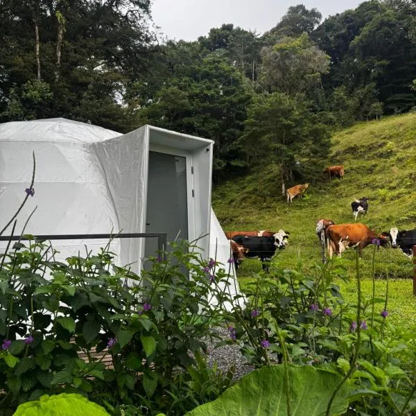 Epífita, Bosque Nuboso Glamping Monteverde, hotel v destinaci Monteverde Costa Rica