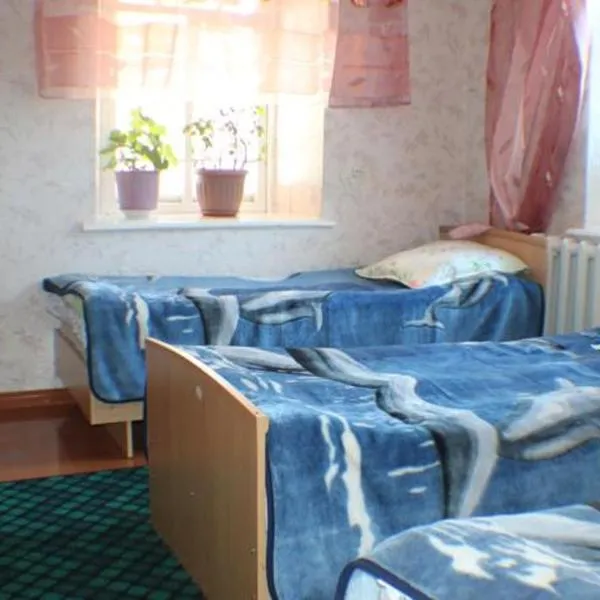 Hostel Ilbirs, hotel v destinaci Karakol