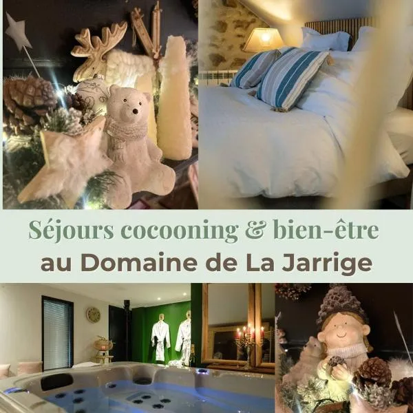 拉亚力格住宿加早餐旅馆，位于Saint-Vaury的酒店