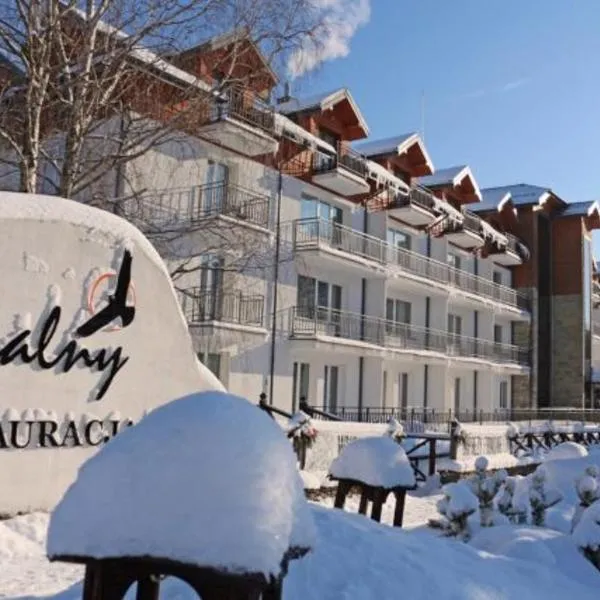 Hotel Skalny Spa Bieszczady, hotel v destinaci Polańczyk