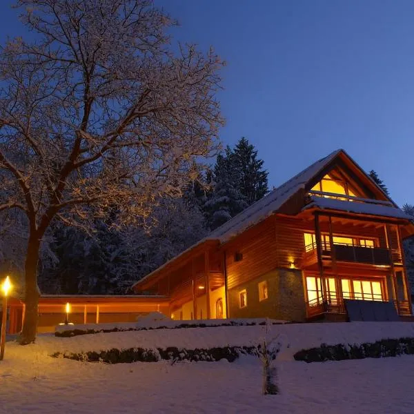 Der Weber - Haus der Zukunft, hotel in Hermagor
