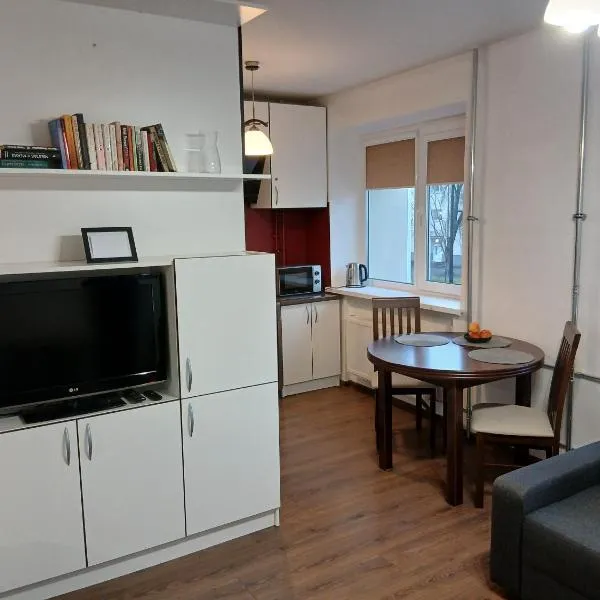 Alytus Studio 45, ξενοδοχείο σε Alytus