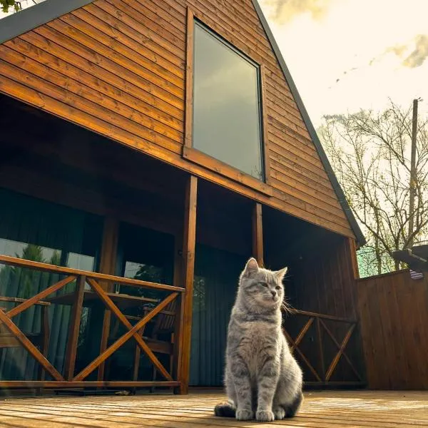 Navy Inn & Bungalows, hotel v destinaci Arnavutköy