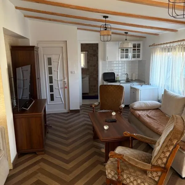 Apartman Ika 5N, hotel v destinaci Kraljevo