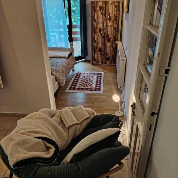 Domus Foresta Apartmani, hotel di Brdo