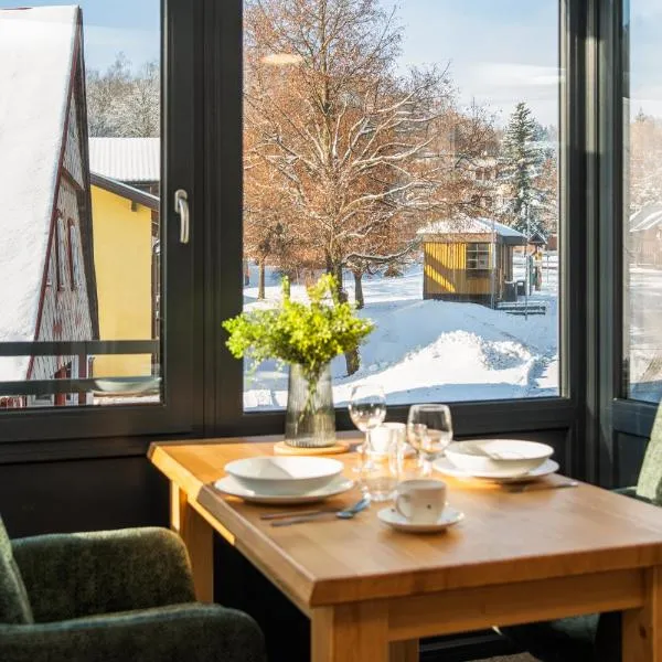 Aspen Lodge Apartments & Sauna, hotel en Černý Důl