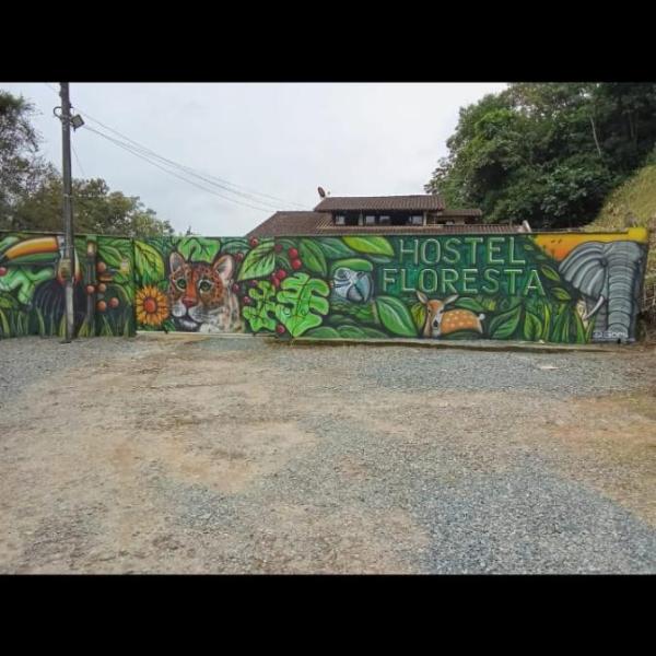 Hostel pousada floresta