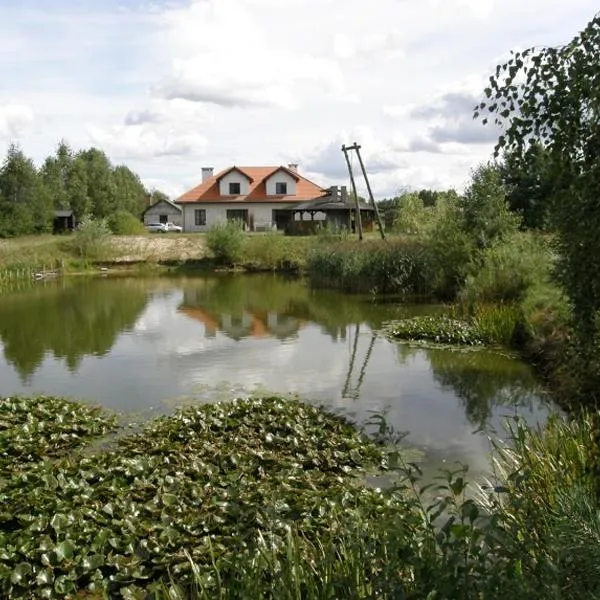 Agroturystyka "Bociek", hotel en Brudnice