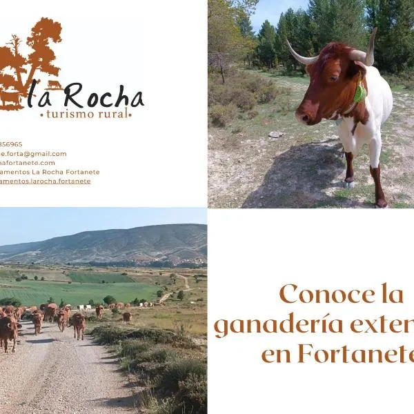 Apartamentos de Turismo Rural La Rocha，位于Fortanete的酒店