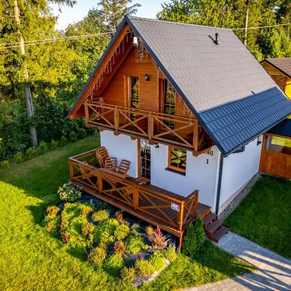 Domki na Beskidzie 1861, hotel in Istebna