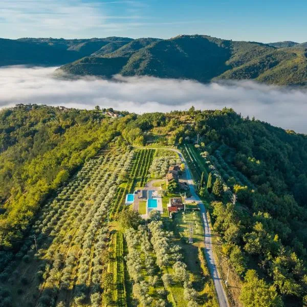 Casa mille olivi, hotel v destinaci Buzet