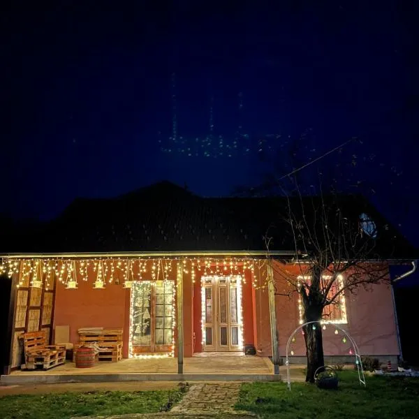 Vila Vida，位于克鲁舍瓦茨的酒店