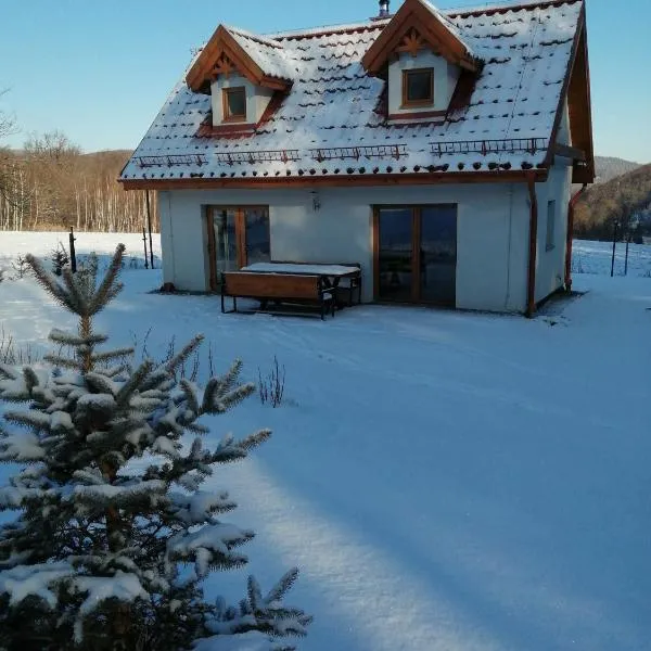 Domek w Górach Sowich, ξενοδοχείο σε Pieszyce