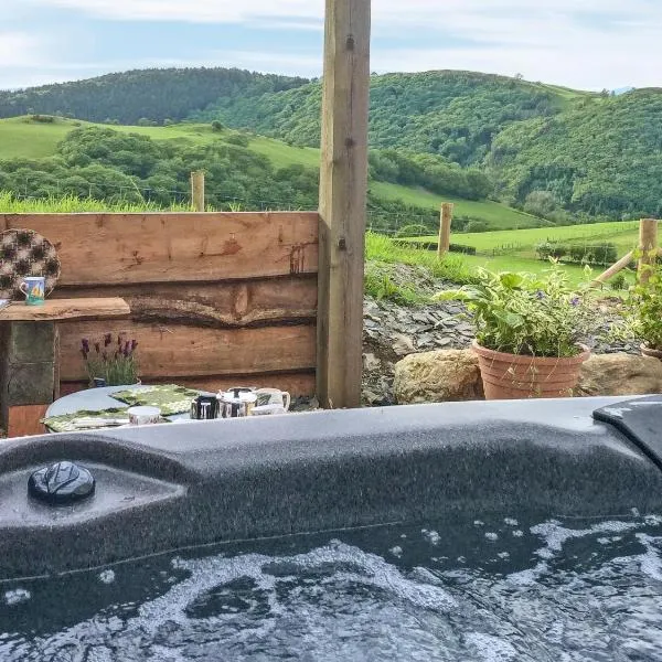 Cowlas, ξενοδοχείο σε Aberhosan