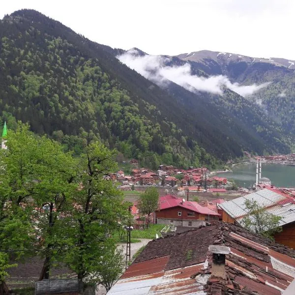 Liva Teras Suites Uzungöl, hotel v destinaci Uzungöl