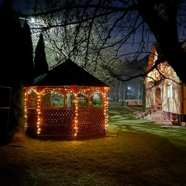 Insieme, hotel i Vidra