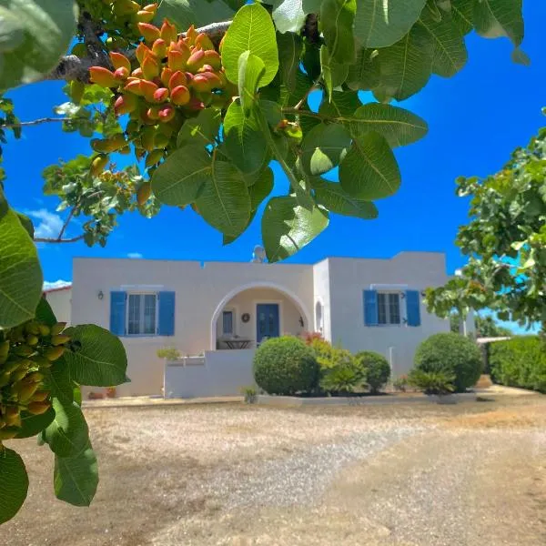Tzitzi Pistachio Villa, hotel u gradu Khlóï