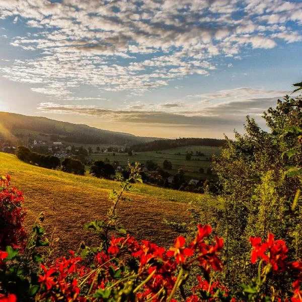 Schwarzwald Wellnesshotel SAIGERHÖH I Spa Golf & Wandern über dem Titisee, hotel v destinaci Lenzkirch