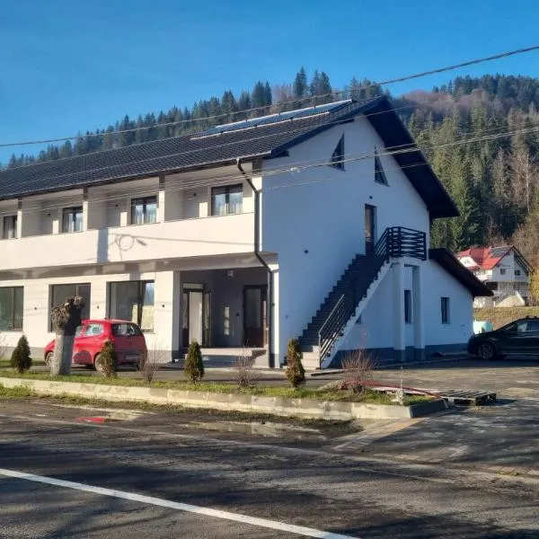 Pensiunea ALDA, hotel a Suceviţa