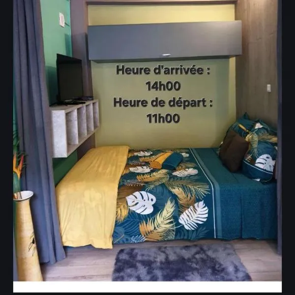 Le Bivouac du Maido studio 1, hotel in Le Guillaume