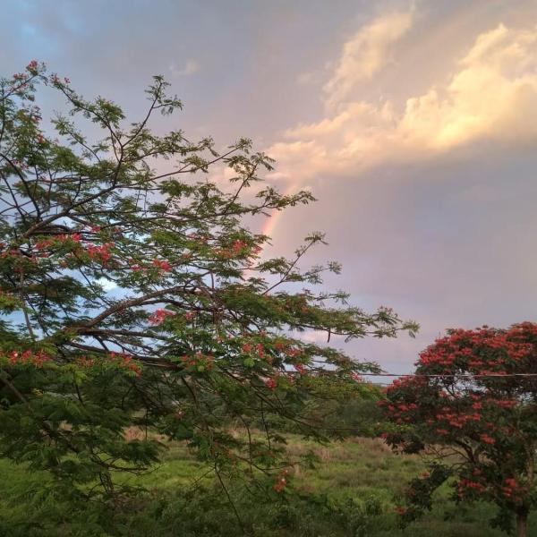 Hospedagem Ferreira-TJ 01 terreo - partamentos Temporada - Foto 5