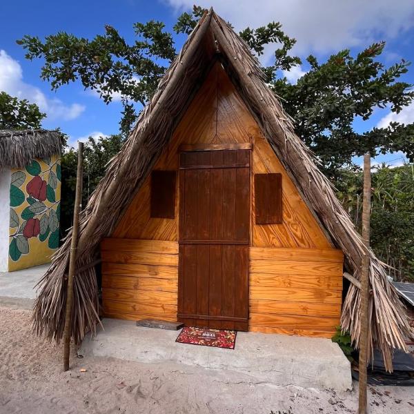 Camping Proibido Não Viver