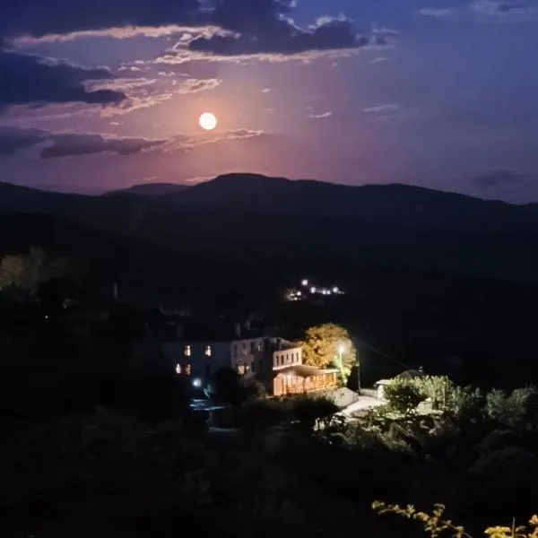 Guesthouse Selini, hôtel à Vitsa