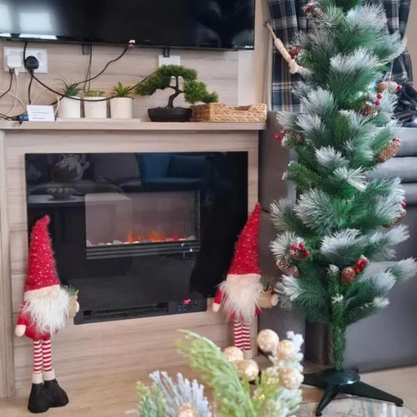 Sea view holiday home with accessible ramp and WiFi - no entertainment and venues access on the park, hotel v destinaci Port Seton