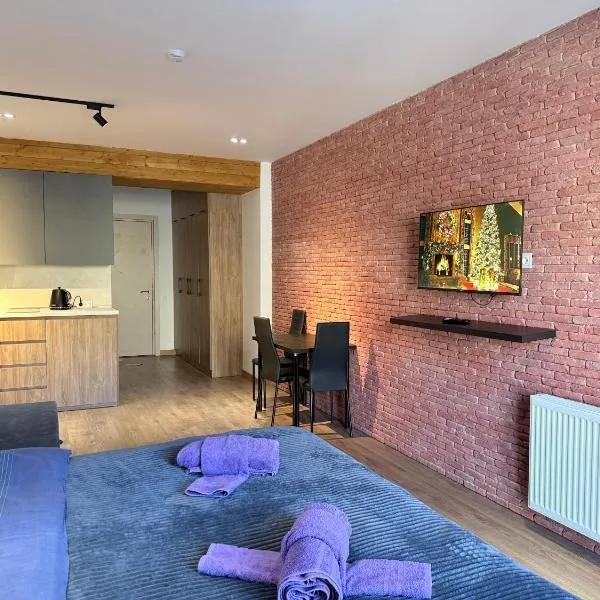 Gudauri Mountain View Studio, hótel í Gudauri