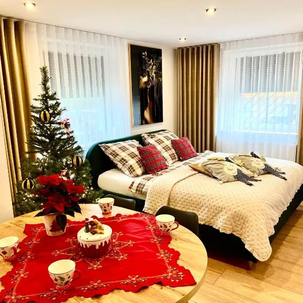 Apartamenty nad Starynką, hotel in Głuchołazy