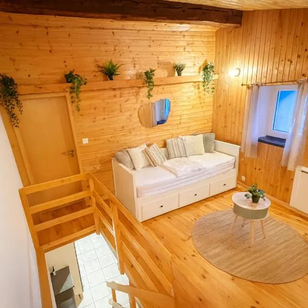 Chalet Familial Ovronnaz Ski & Bains Thermaux, hotel i Ovronnaz