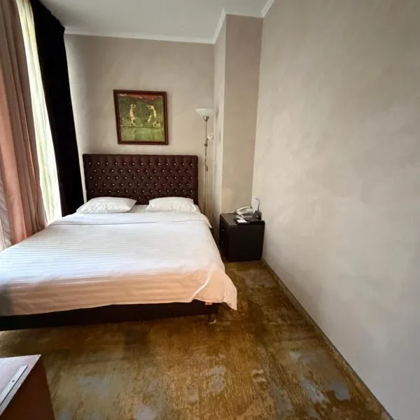 Alir, ξενοδοχείο σε Ζιτόμιρ