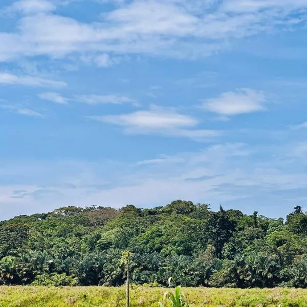 Kisubi Forest View, ξενοδοχείο σε Εντέμπε