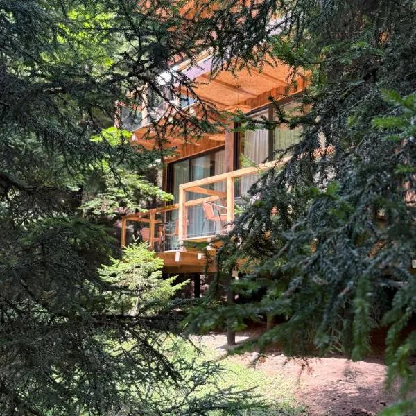 ECHIVITI Cottages in Abastumani, ξενοδοχείο σε Abastumani