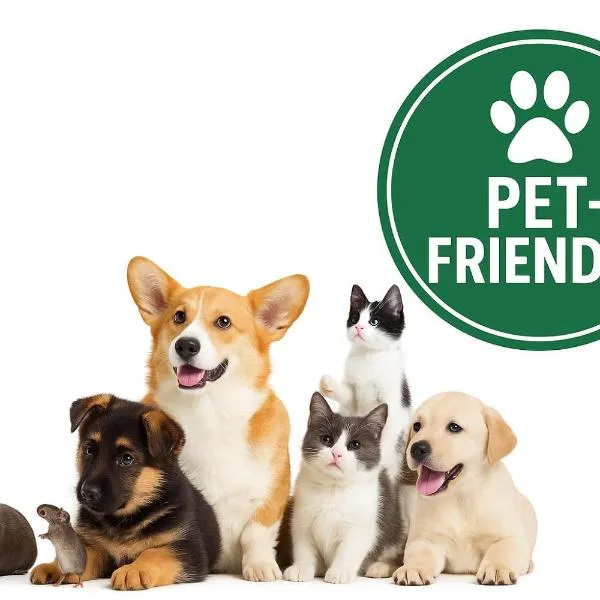 Bom Braga AL, hotel a Braga