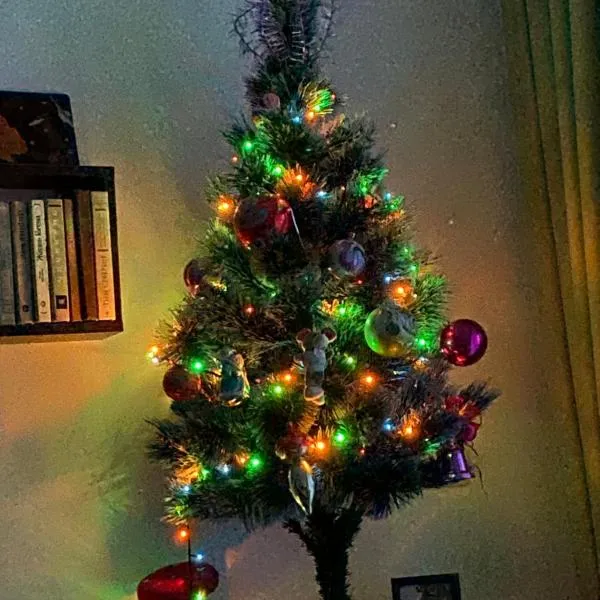 Green Studio Hotel Sol e Mar, hotel in Sunny Beach