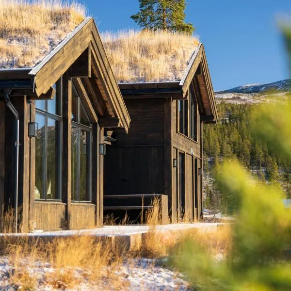 Ny og moderne hytte med sauna, jacuzzi og eget spillrom med biljard og dart Gratis elbillading og strøm inkludert i prisen, hotel en Flå